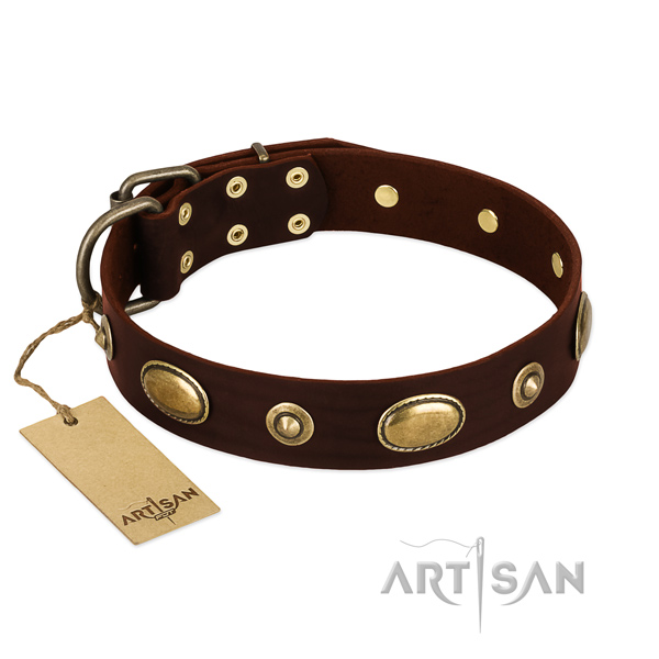 Fine quality genuine leather collar for your four-legged friend