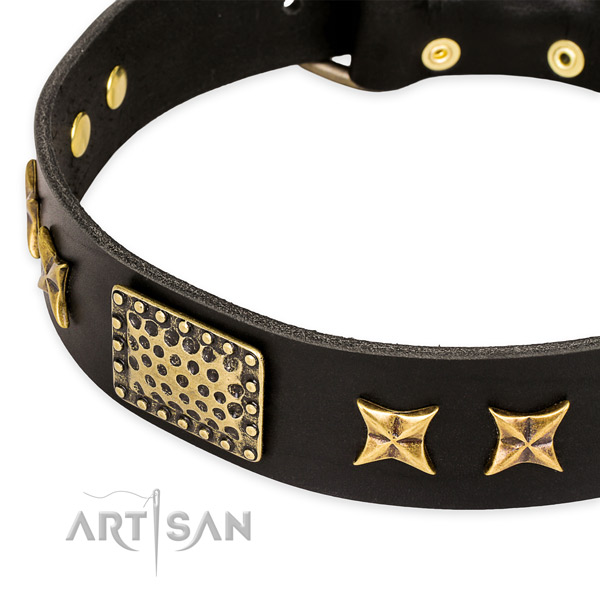 Full grain genuine leather collar with reliable buckle for your stylish pet