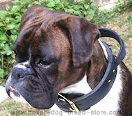 2 ply leather agitation dog collar with handle