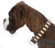 2 ply leather agitation dog collar with handle