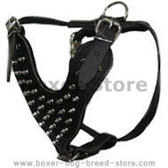 Spiked leather dog harnesses- Boxer