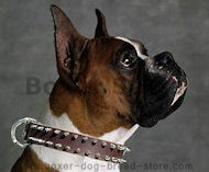 Boxer Leather Spiked Dog Collar - Boxer dog collar