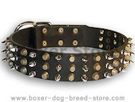 Leather dog collar with 3spikes+3old brass pyramids for Boxers