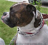 HS Dog Collars prong dog collar,pinch collars, fur saver collars,curogan collars,chain collars and leds