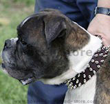 Boxer Dog Collar,nylon dog collar, leather dog collar with handle for dog training,spiked dog collar,walkind dog collar
