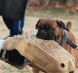 Dog protection sleeves Dog protection sleeves