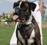 Boxer Dog Harness,leather dog harness,nylon dog harness with handle for dog training,walking dog harness gear boxer Boxer Dog Harnesses