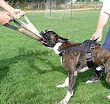 Dog Training Equipment Boxer Dog supplies,dog training harnesse,dog training collar,leather dog leashes