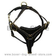 Tracking Walking leather dog harness - Boxer harness