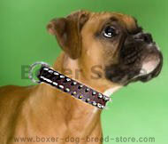 Boxer Leather Spike Dog Collar - Best Boxer dog collar