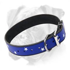 Leather collar for the USA patriotic Boxers
