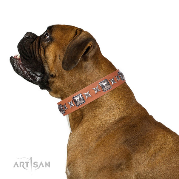 Everyday walking embellished dog collar of top notch material