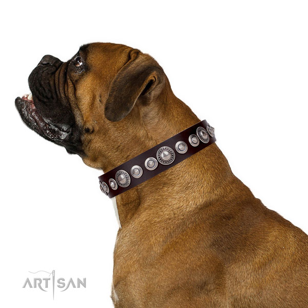 Unique embellished natural leather dog collar for walking