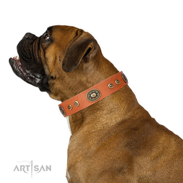 Unique embellished leather dog collar for comfortable wearing