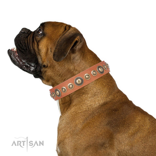 Rust-proof buckle and D-ring on leather dog collar for walking in style