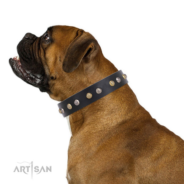 Genuine leather dog collar with rust resistant buckle and D-ring for handy use