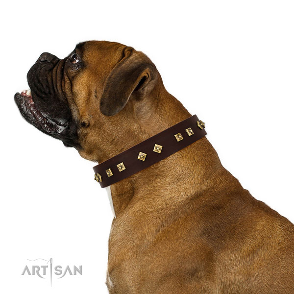 Awesome studs on easy wearing genuine leather dog collar