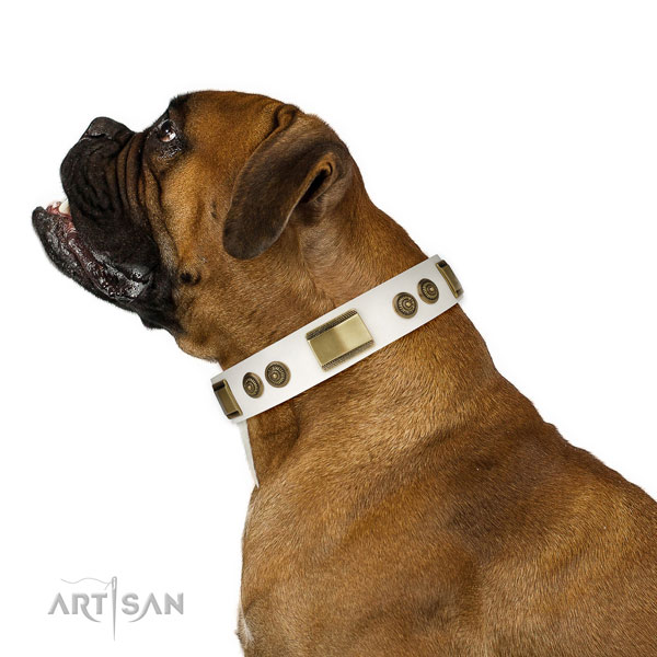 Best quality daily walking dog collar of genuine leather