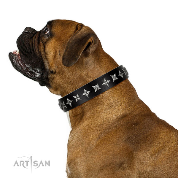 Walking embellished dog collar of high quality leather