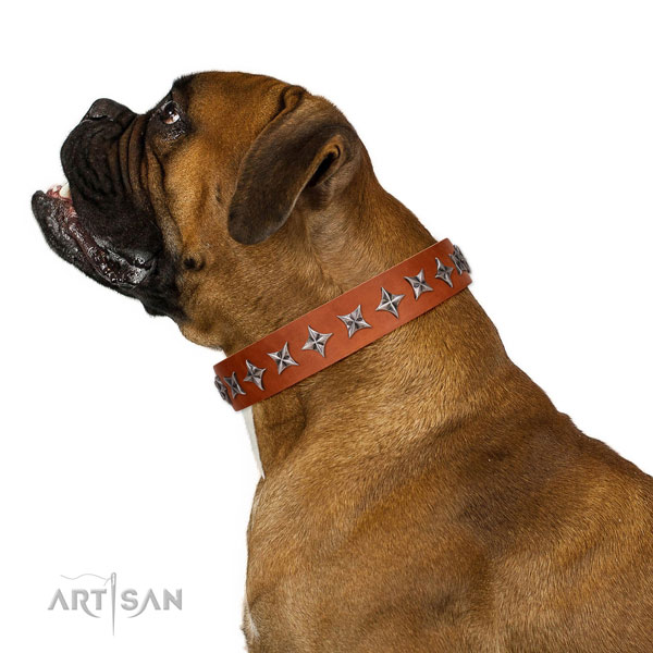 Reliable genuine leather dog collar with fashionable adornments