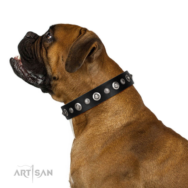 Top notch genuine leather dog collar with amazing embellishments