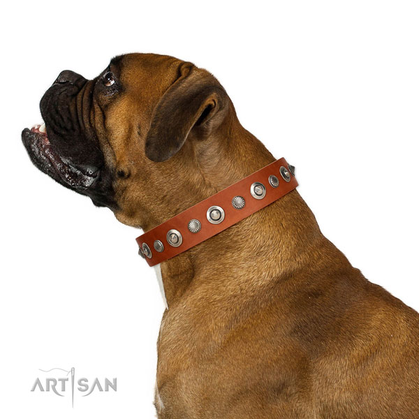 Best quality genuine leather dog collar with stylish adornments