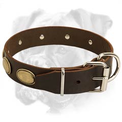 Boxer collar with durable D-ring
