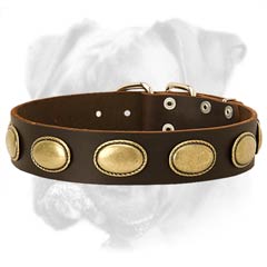 Practical leather collar
