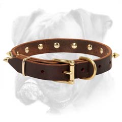 Leather collar with solid D-ring for leash attachment
