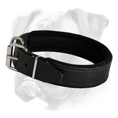 Perfect for everyday use leather collar
