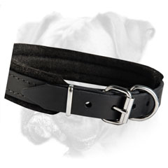 Leather collar for everyday walks