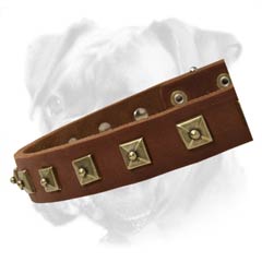 Feature-rich leather collar
