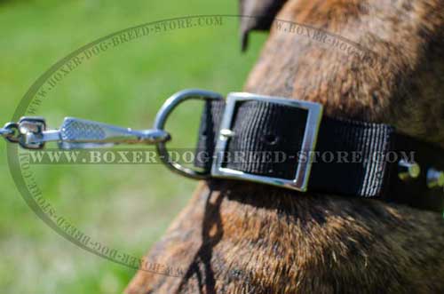 Comfortable nylon dog collar