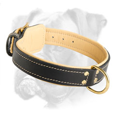 Totally comfortable leather collar