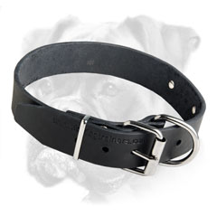 Deluxe leather collar