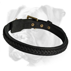 Incredible leather collar for Boxer