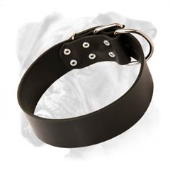 Super durable Boxer leather collar
