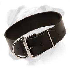 Riveted Boxer leather collar