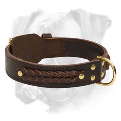Gorgeous leather Boxer collar 