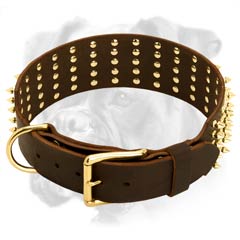 The highest quality leather collar