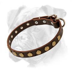 Collar made of authentic leather