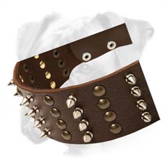 Fabulous leather collar for active dogs