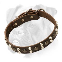 Optional leather dog collar for Boxer