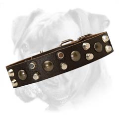 High quality leather collar skillfully decorated