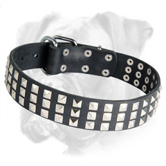 Leather Boxer collar with nickel studs