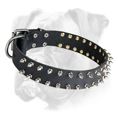Boxer leather collar at an affordable price