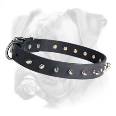 Absolutely safe leather dog collar
