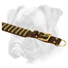 Royal quality leather collar