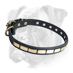 Royal quality leather Boxer collar