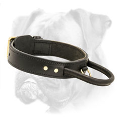 Comfortable leather collar with dependable handle